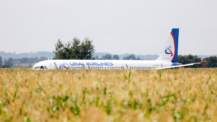 С кукурузного поля в Московской области вывезли все части самолета Airbus A321