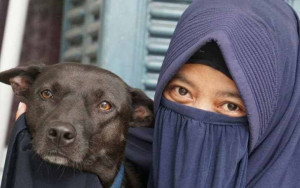 Можно ли держать собаку дома в исламе?