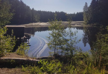 После старта мусорной реформы Смольного жители Ленинградской области начали жаловаться на неприятный запах и загрязнение окружающей природы. Непродуманный