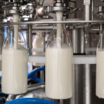 Армения проверит свои молокозаводы на предмет соответствия российским требованиям. По результатам этой проверки будут составлены списки, в которые