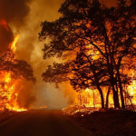 В Геленджике Краснодарского края тушат природный пожар, который уже распространился на площади в 5 гектаров. Огнеборцы наращивают силы для