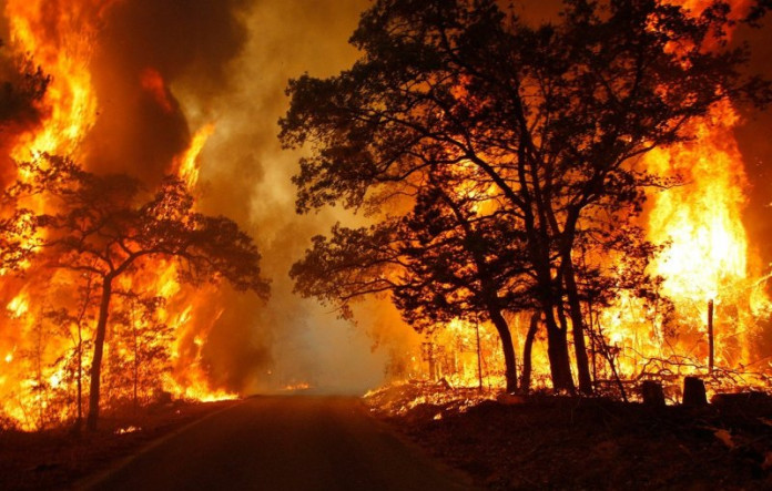 В Геленджике Краснодарского края тушат природный пожар, который уже распространился на площади в 5 гектаров. Огнеборцы наращивают силы для