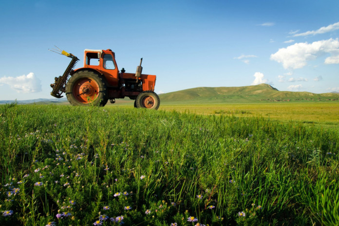 На Ставрополье аграрии могут получить дополнительные меры поддержки. Их планируют оказать местным сельхозпредприятиям региональные власти,