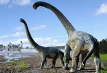 Ученые из Университета Макгилла в Канаде провели исследование, которое  предлагает новую возможную причину исчезновения динозавров. Согласно результатам иссл
