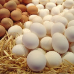 Ученые из Италии опубликовали результаты исследования, в котором было доказано, что употребление яиц может защитить печень от ожирения и быть полезным для л