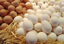 Ученые из Италии опубликовали результаты исследования, в котором было доказано, что употребление яиц может защитить печень от ожирения и быть полезным для л