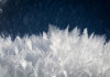 Международная группа климатологов из США, Великобритании и других стран установила причину таяния «ледника Судного дня» в Антарктике. Этот ледник, известный